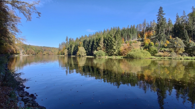 Fotografie uživatele Rony