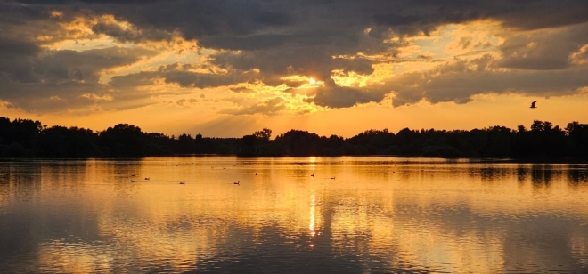 Fotografie uživatele Rony