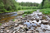 Javorná, Hadí vrch a trek nad Křemelnou