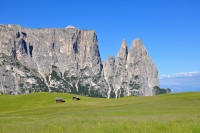 Dolomity - San Pellegrino I.