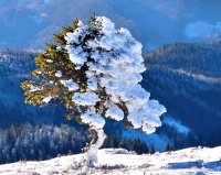 Zima na Slovensku obrazem