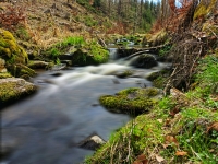 Půltucet 2024 - fotky s příběhem s nejvíce hlasy