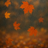 Půltucet (říjen 2025) - příběh fotografie