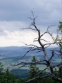 Z hojně navštěvovaného skalnatého vrcholu je krásný pohled do Českobudějovické a Křemežské kotliny.