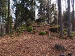 Albertov (932 m.n.m.) má mít v sobě ukrytou silnou energii. Bohužel jde o energii negativní a tak při hledání vrcholu bloudíme, zakopáváme o zrádné kořeny i o sebe navzájem. Nakonec se nahoru trefujeme, ale hladoví a žíznivý siestu odkládáme na neurčito (k Bulovýmu).