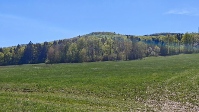 Bulový...
