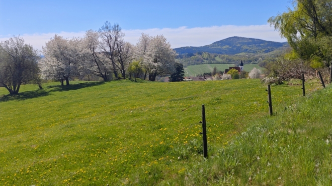 Chlum (1 191 m n. m.) od Ktiše.