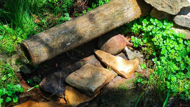 Kamenné srdce Křemelné vidím okamžitě. K podložení nefunkčního aparátu studánky se nehodí. Dál by chřadlo a Šumavs s ním.