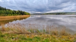 Hořejší Padrťský rybník. Výhled od místa na hrázi, kde jsem v minulosti dvákrát přespal.
