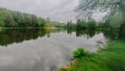Huťský rybník u Dobřívi.
