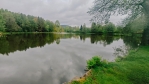 Huťský rybník u Dobřívi.