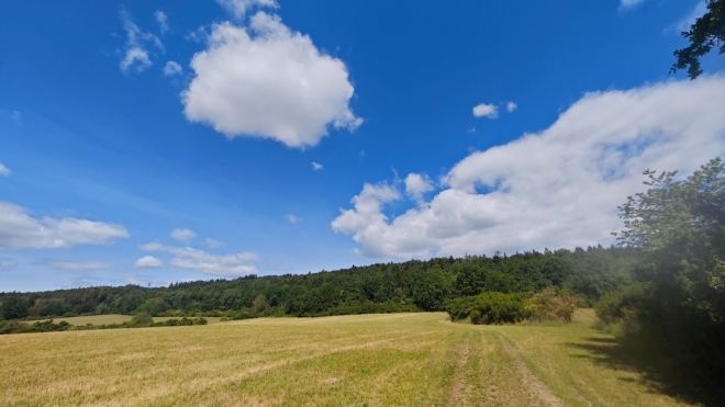 Netonická vrchovina - pod vrcholem Hrad.