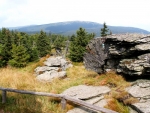 K Vozkovi cesta stoupá je nepatrně, stále jsme na široké náhorní plošině a kolem nás je Japonská zahrádka. Alespoň podle turistické mapy, jinak je zde typický horský smrkový les.