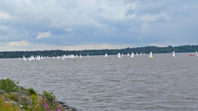Na Velkém Dářku prob9há závod windsurfingu.
