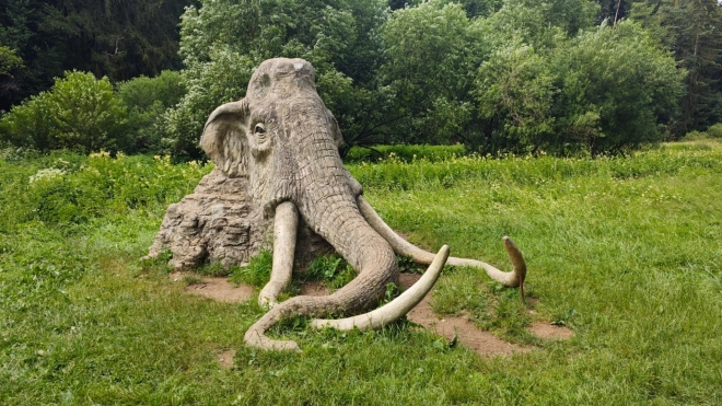 Olšiakův Mamut jemístem našeho znovu setkání.
