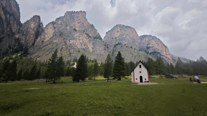 Kaple Sylvester.