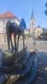 Venezia Horse.