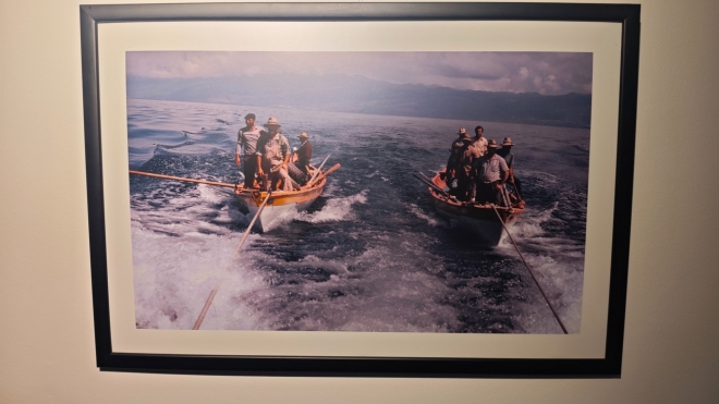 Muzeum lovců velryb v Lajes do Pico je unikátní v Portugalsku a vzácné v Evropě, protože uchovává historii lovu velryb na Azorech. Muzeum, umístěné v bývalých velrybářských domech z 19. století, podrobně popisuje život a řemeslné techniky lovců velryb, od lovu až po zpracování velryb, včetně rekonstrukce staré zpracovatelské stanice. Lov velryb byl ukončen v roce 1987 a muzeum udržuje naživu vzpomínku na tuto staletou tradici. (Mapy.com)