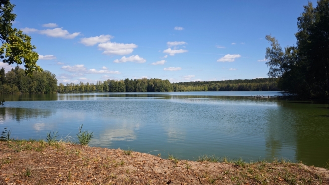 Staňkovský rybník s rozlohou 272 ha a objemem 6,33 mil. m3 je šestým největším rybníkem na Třeboňsku a sedmým největším rybníkem v ČR. Byl vybudován v roce 1550 Mikulášem Ruthardem z Malešova. Ve své době byl dlouho největším rybníkem co do plochy i objemu. Dnes je nejdelším českým rybníkem (6 km), rybníkem s nejdelší břehovou čárou (25 km) a s největší hloubkou (u hráze 16 m). Je však nejméně výnosným, proto je využíván především pro rekreaci. (Mapy.com)