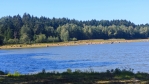 Rybník Walden se dříve jmenoval Kačer ..