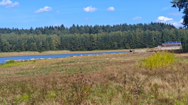 Rybník Walden se dříve jmenoval Kačer ...