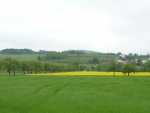 Cesta