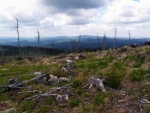 Od vrcholu je fantastický rozhled, alespoň jedno pozitivum po devastaci lesa Kirillem.