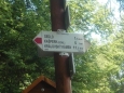Vzhůru po červené na Sedlo