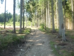 Cesta
