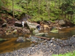 Chřibská Kamenice