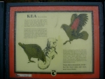 KEA