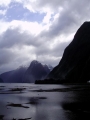 Cestou k přístavu v Milford Sound