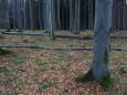 Pod námi jsou vidět docela velké skály a tak odkládáme svačinku a klesáme k nim. Nahoře stejně dost profukuje.