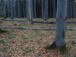 Pod námi jsou vidět docela velké skály a tak odkládáme svačinku a klesáme k nim. Nahoře stejně dost profukuje.