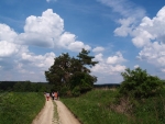 Od Rohů ke Krašovu.