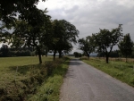 Vcelku úzká silnice, ale asfalt dobrý a skoro nic po ní nejezdí, takže pro cyklisty ideální. (Radim)