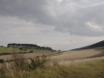 Krajina u Koněpruských jeskyní (Radim)