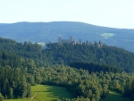 Javorník