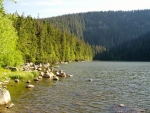SROVNÁVACÍ FOTO 2004: Plešné jezero