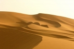 Písečná Sahara