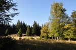 Větřín skrz plot.