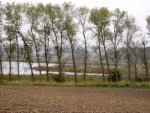Sezení nad Markovcem u Žižky. To je dobrý název pro rybník!