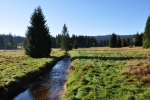 Tady se zdá, že i mírně regulovanou.