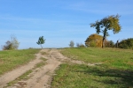 Obchvatem jdeme přes kopec a kolem výběhu koní a motokrosové tratě pomalu klesáme zpět k Netolickému, nebo taky Soudnému a Bezdrevskému potoku.