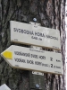 Falešný vrchol.