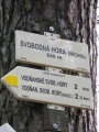 Falešný vrchol.