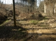 vypadalo to jak po velké průtrži a lejáku, bahna skoro po kolena 
