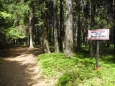 Cedule sděluje, že je tu reálná možnost koupit jednu přímo do hlavy.