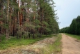 Typická krajina