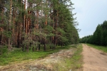 Typická krajina